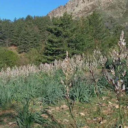 Charmante Maison Avec Vue Sur La Montagne à Albertacce