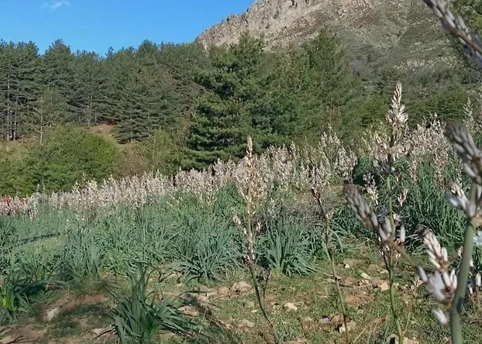 Charmante Maison Avec Vue Sur La Montagne à Albertacce