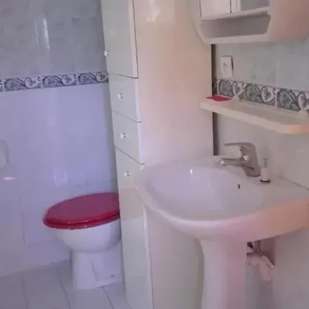 Charmante Maison Avec Vue Sur La Montagne à * Albertacce